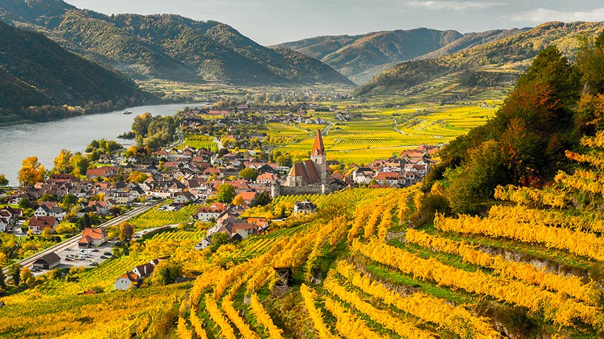 Whatnews o biodynamické kosmetice dieNikolai